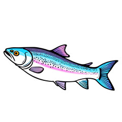 Naklejka premium Rainbow Trout Illustration PNG