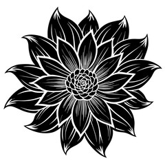 black and white lotus