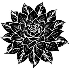 black and white rose flower vector illustration