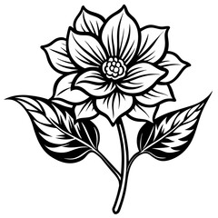 black and white flower