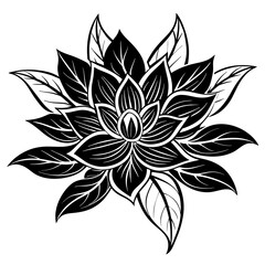 black and white rose flower vector illustration
