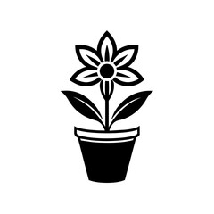 flower in flowerpot