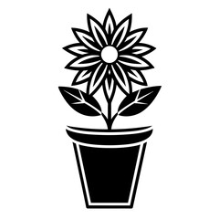 black and white flower