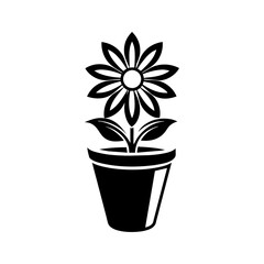 flower in flowerpot
