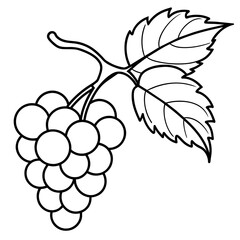 illustration of grapes