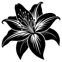 black and white flower