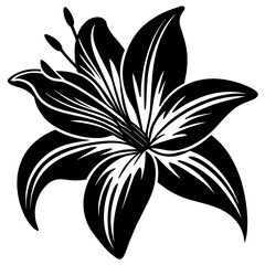 black and white lily