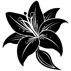 black and white lily