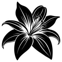 black and white flower