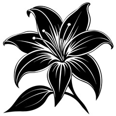 black and white flower