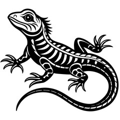 Fototapeta premium black and white lizard