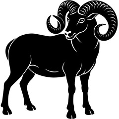 black and white bull