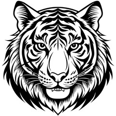 white tiger head