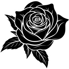 black and white rose