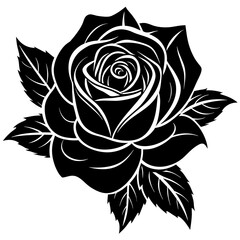 black and white rose