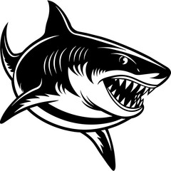 illustration of a shark