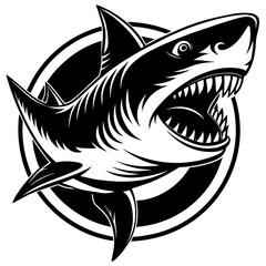 illustration of shark