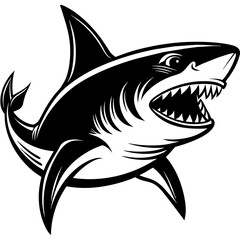 shark illustration