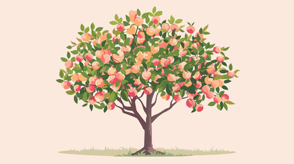 Obraz premium Peach Tree Isolated Flat Vector Illustration