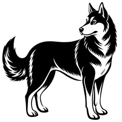 image of a dog