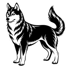black and white wolf