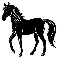 horse illustration