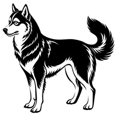 image of a dog