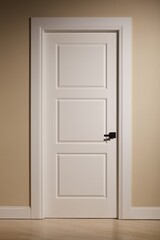 Interior wall with elegant white door with details 