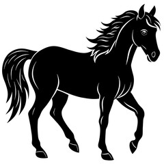 horse silhouette isolated on white