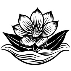 black and white lotus