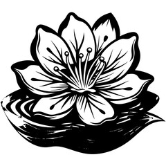 black and white lotus flower