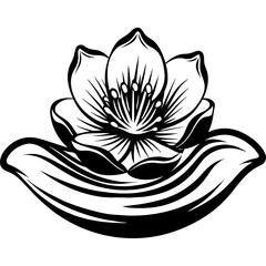 vector illustration of lotus flower