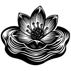 vector illustration of lotus flower