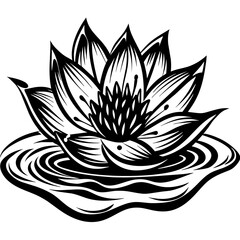 lotus flower illustration