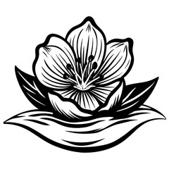 black and white lotus flower
