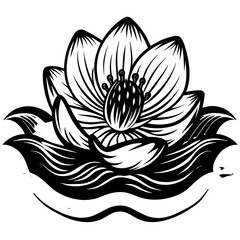 lotus flower isolated on white