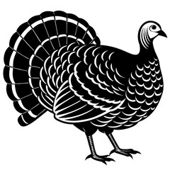 turkey vector illustration
