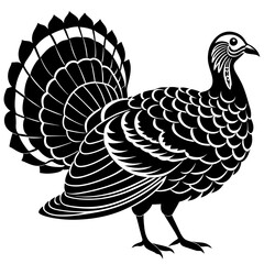 vector illustration of turkey