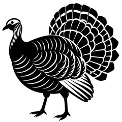 vector illustration of turkey