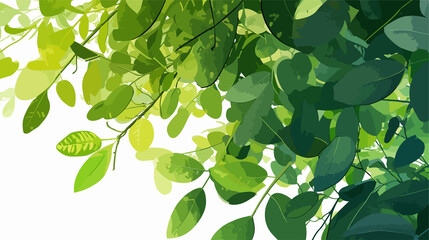 Closeup of Hanging Green Plantation on Tree