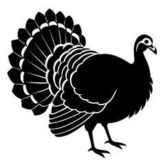 turkey vector illustration