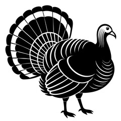 vector illustration of turkey