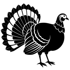 vector illustration of turkey