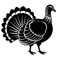 vector illustration of turkey