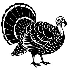 vector illustration of turkey