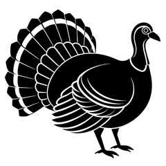 turkey vector illustration