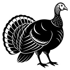 vector illustration of a turkey