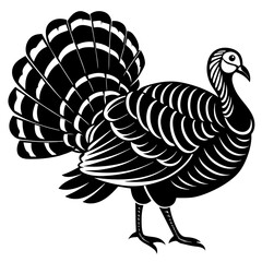 vector illustration of turkey