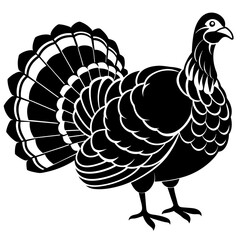 turkey vector illustration