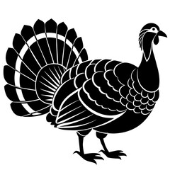 vector illustration of turkey